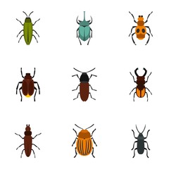 Nature beetle icons set, flat style