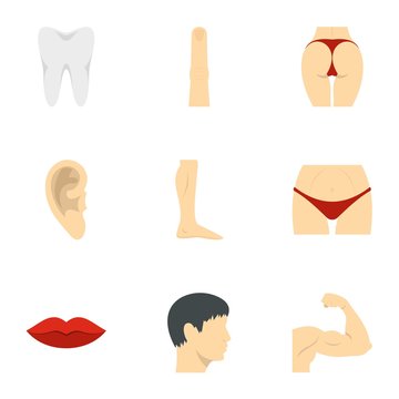 Outer parts of body icons set, flat style