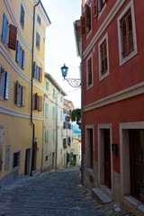 Fototapeta na wymiar Cobblestone street in Motovun, medieval town in Istria, Croatia