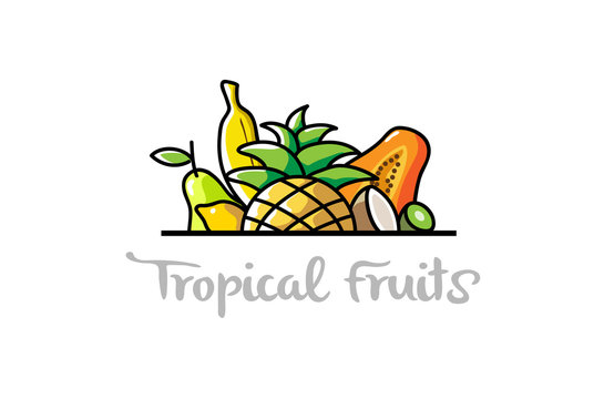 Tropical Fruits Logo Design Symbol Illustration