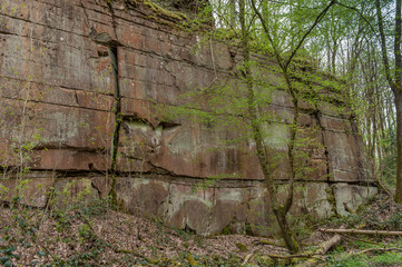 Schilfsandsteinbruch Jägerhaus in Heilbronn