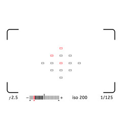 Photo or video camera viewfinder grid with many shooting settings on screen like AF dot, exposure and camera options. Recording led blinked. Realistic corner fall off.