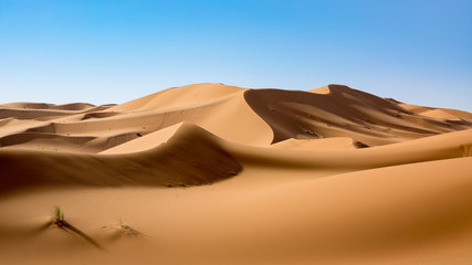 Fototapeta Sahara Desert, Erg Chebi dunes. Merzouga, Morocco obraz