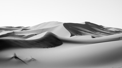 Sahara Desert, Erg Chebi dunes. Merzouga, Morocco © TOP67