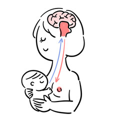 Baby and child care_How breast milk comes out