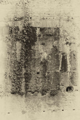 Vintage brick old wall colorful texture background with plants and flowers