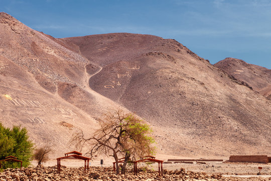 Geoglyphs Pintados Cerros, near the town of Pica, in the commune of Pozo Almonte, Chile