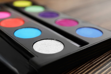 Eyeshadow palette of professional makeup artist, closeup