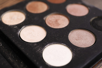 Eyeshadow palette of professional makeup artist, closeup