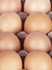 brown eggs in a packing