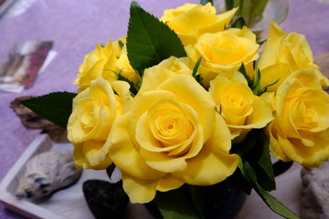 yellow roses