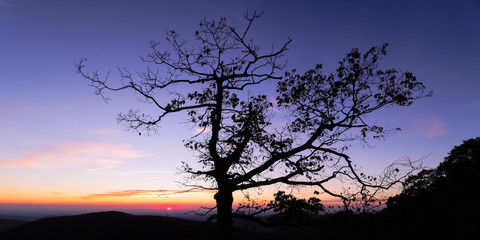 Late autumn sunrise at Shenandoah National Park.