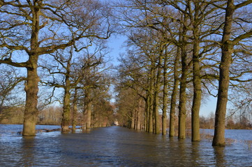 overstroming rivier de IJssel over de oprijlaan met eiken van een kasteel