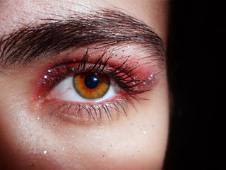 eye