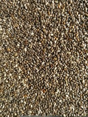 chia seeds