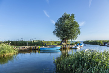harbor at backwater in Zempin at the island of Usedom