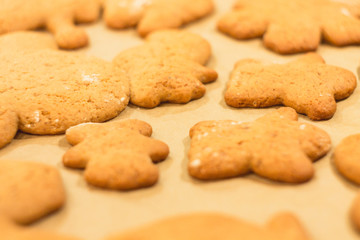 Ginger biscuits lie on a baking sheet. Cookies on baking paper. Selective focus.