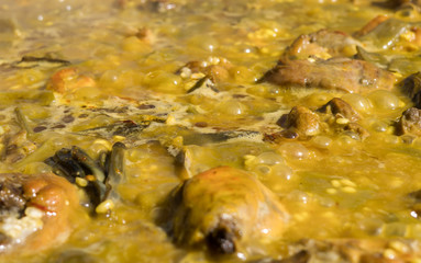 Cooking authentic Valencian paella with chicken meat, rabbit meat, vegetables, boiling Valencian rice, saffron. Typical cuisine of the Valencia Spain. Boiled bubbles in motion