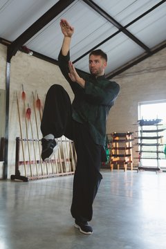 Kung fu fighter training martial arts