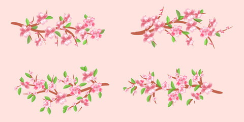 set of cherry branches in bloom. Cherry blossoms. Spring.Vector Illustration .Eps 10.