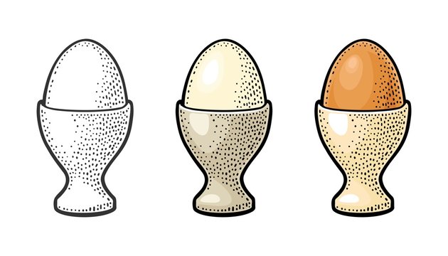 Egg standing in egg cup. Vintage color engraving illustration