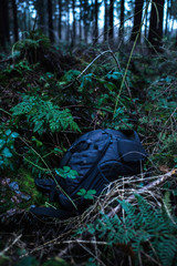 Lost backpack in ditch of dark forest.