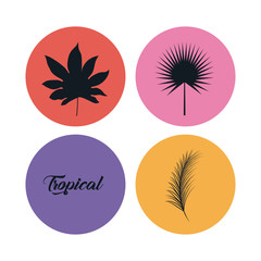 set of summer and trendy tropical leaves 