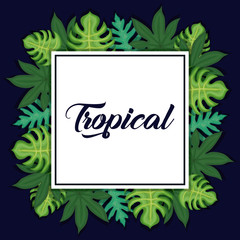 trendy summer tropical leaves banner 