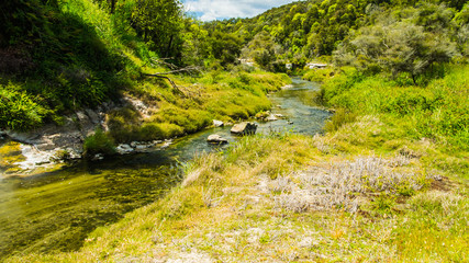Beautiful thermal land on New Zealand.