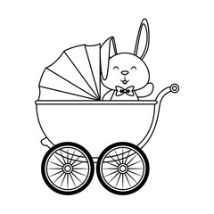 cute little rabbit in baby cart