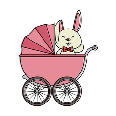 cute little rabbit in baby cart