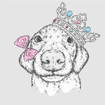 Beautiful dog in the crown. Purebred puppy in clothes and accessories. Vector illustration for a postcard or poster, print on clothes, covers, covers or bags.