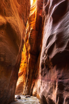 Zion National Park