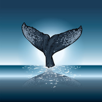A whale diving into the water. Vector illustration for a postcard or a poster, print for clothes. Sea and ocean.