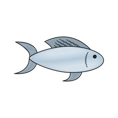 Fish food isolated icon vector illustration graphic design