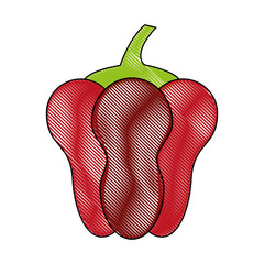 Pepper fresh vegetable icon vector illustration graphic design