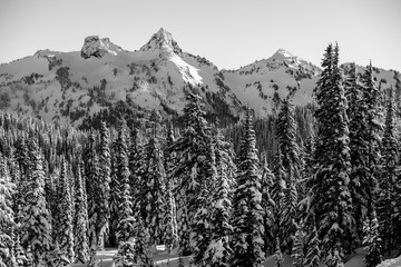 Winter, Tatoosh Range, Paradise, Mount Rainier, Washington, 2017