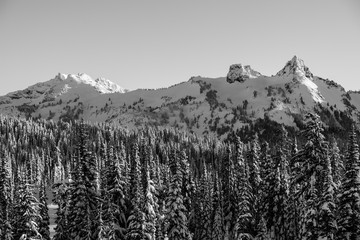 Snow Covered Tatoosh Range, Paradise, Mount Rainier, Washington, 2017