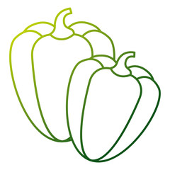 pair pepper vegetable ingredient spice vector illustration