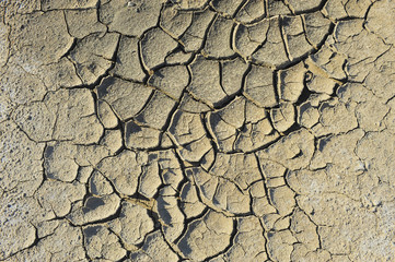 Dry soil cracking