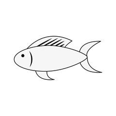 Fish food isolated icon vector illustration graphic design