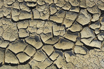 Dry soil cracking