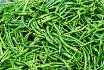 Fresh green pepper pile in harvest season