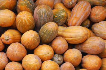 Stacking fresh butternut squash for sale