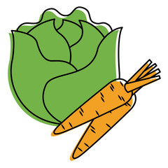 lettuce and carrots vegetables fresh food vector illustration