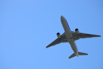 飛行機