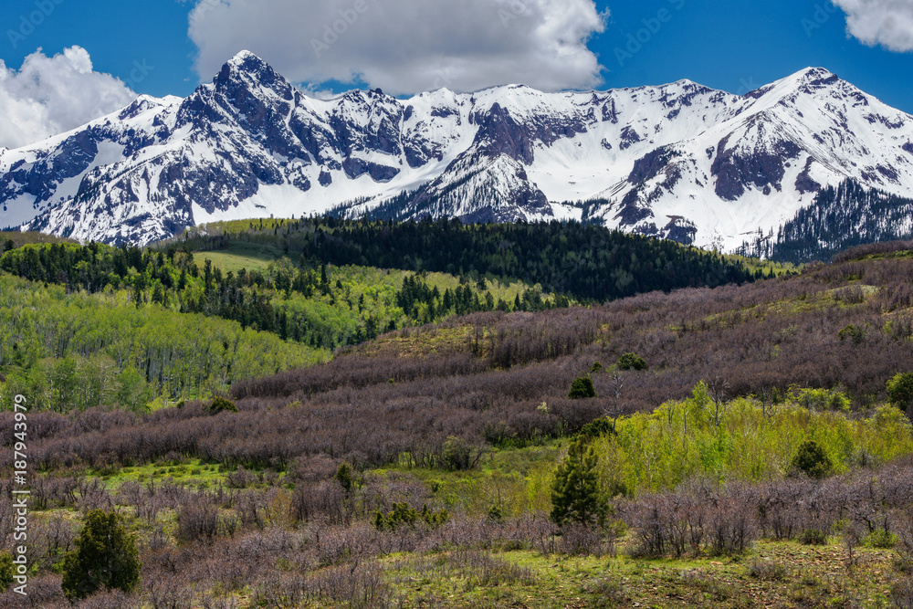 Sticker million dollar highway