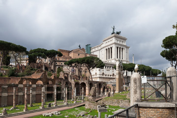 Obraz premium Forum Romanum w Rzymie