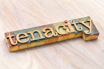 tenacity word abstract in wood type