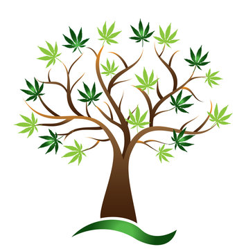 Cannabis tree marijuana vector icon